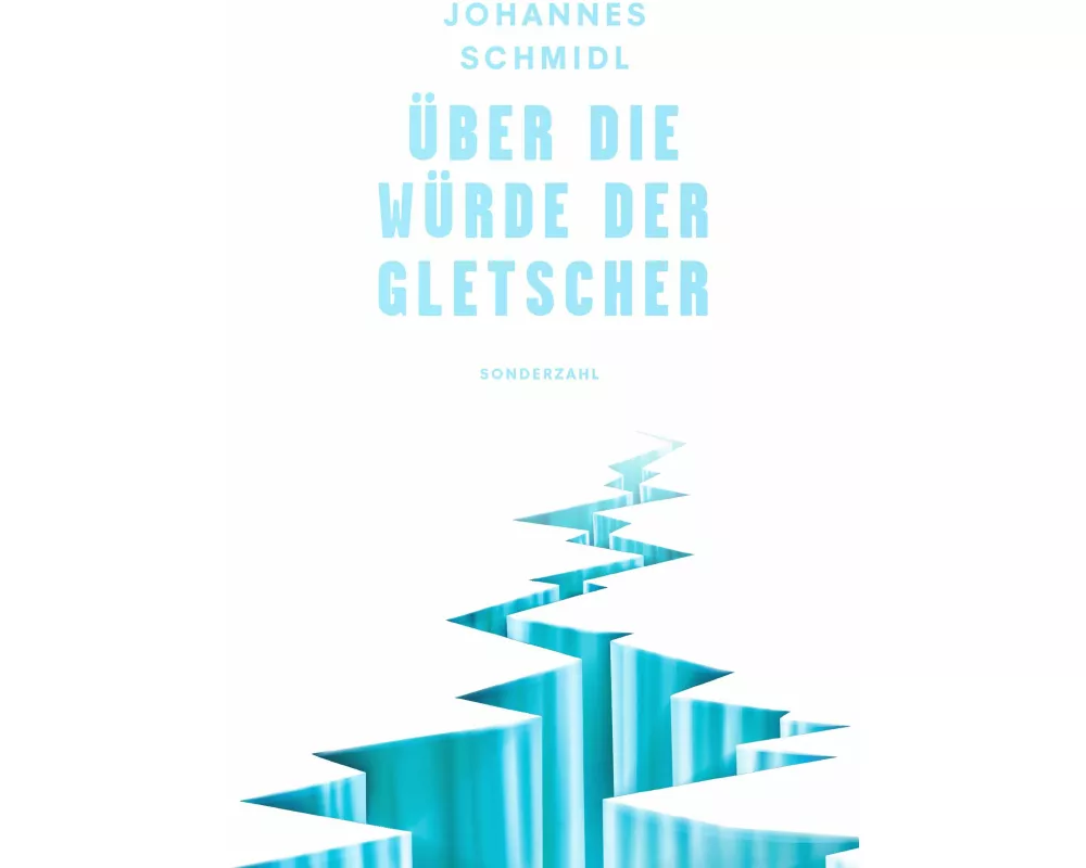 Über die Würde der Gletscher