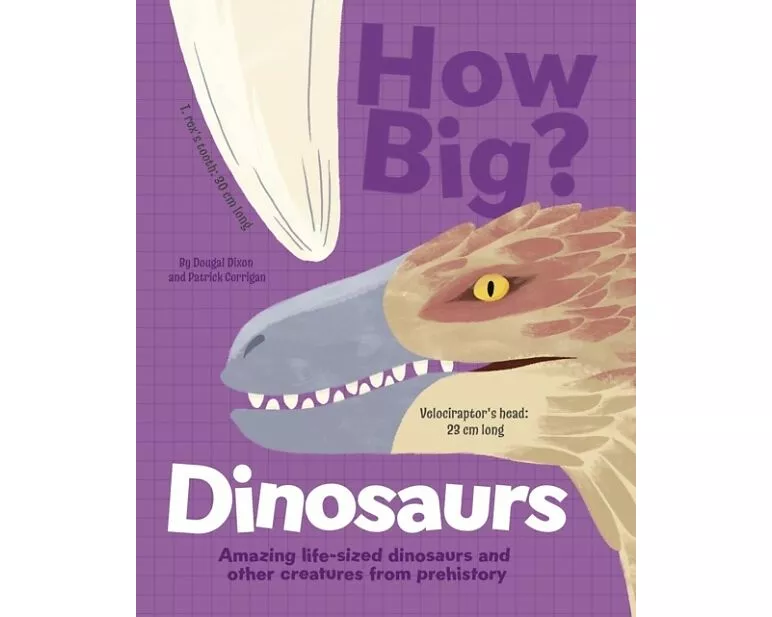 How Big? Dinosaurs