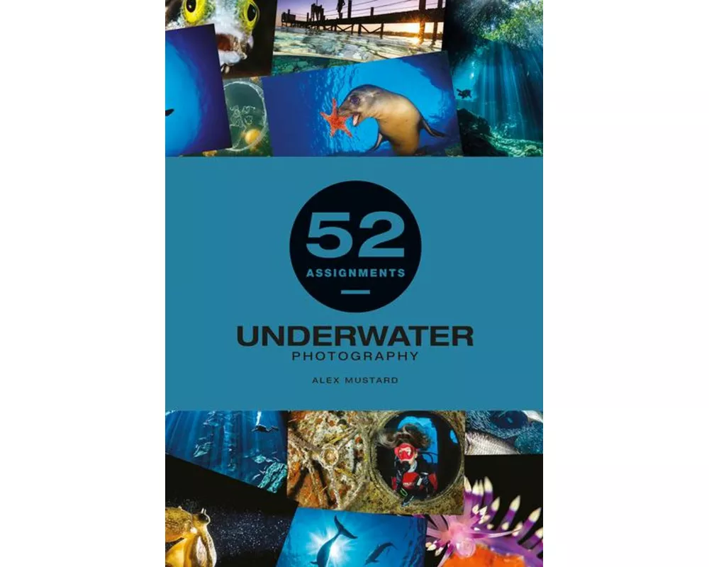 52 Assignments: Underwater Photography