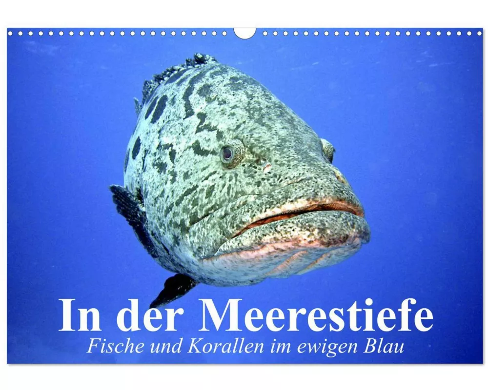 In der Meerestiefe. Fische und Korallen im ewigen Blau (Wandkalender 2025 DIN A3 quer), CALVENDO Monatskalender