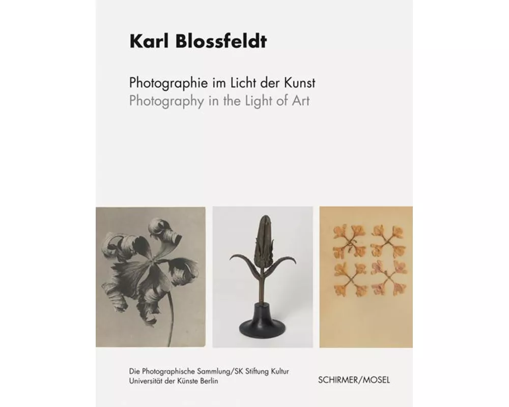 Photographie im Licht der Kunst / Photography in the Light of Art