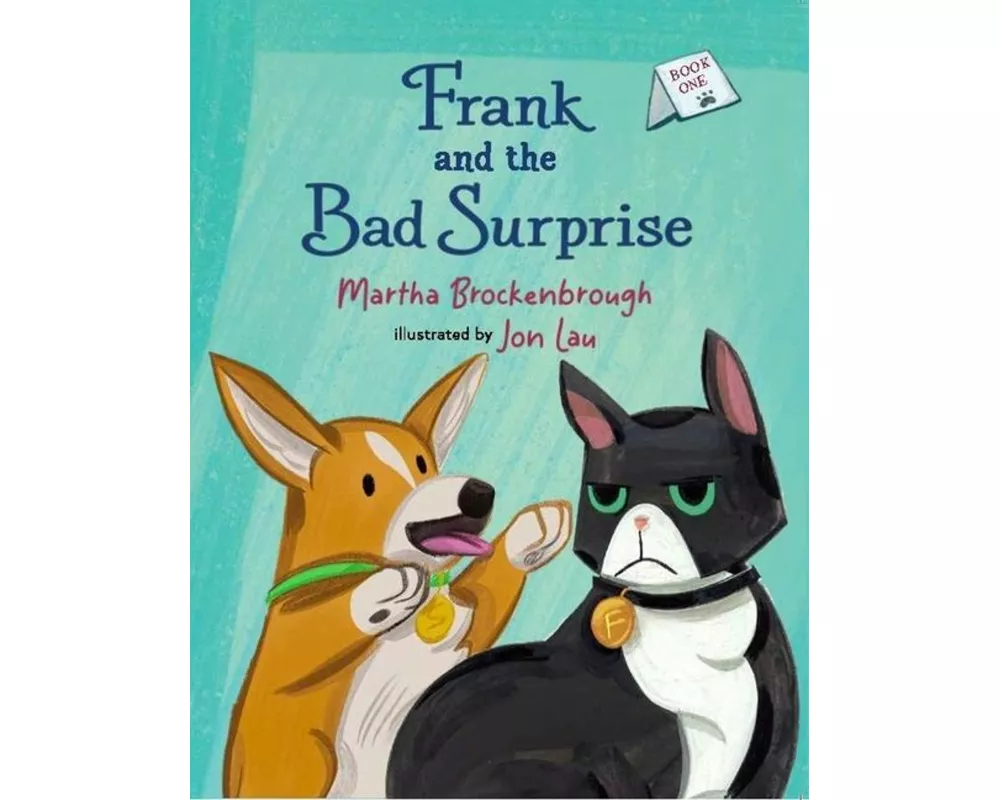 Frank and the Bad Surprise