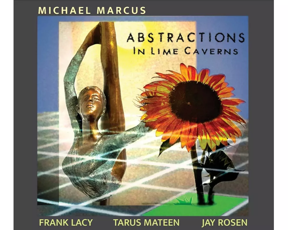 Abstractions in Lime Caverns