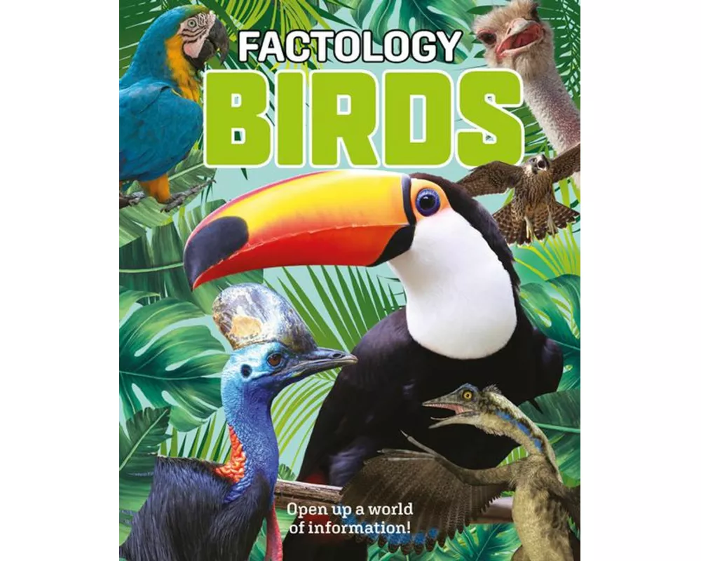Factology: Birds