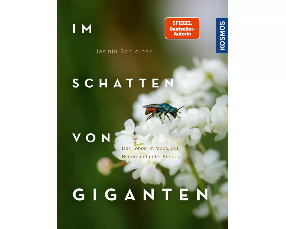 Im Schatten von Giganten