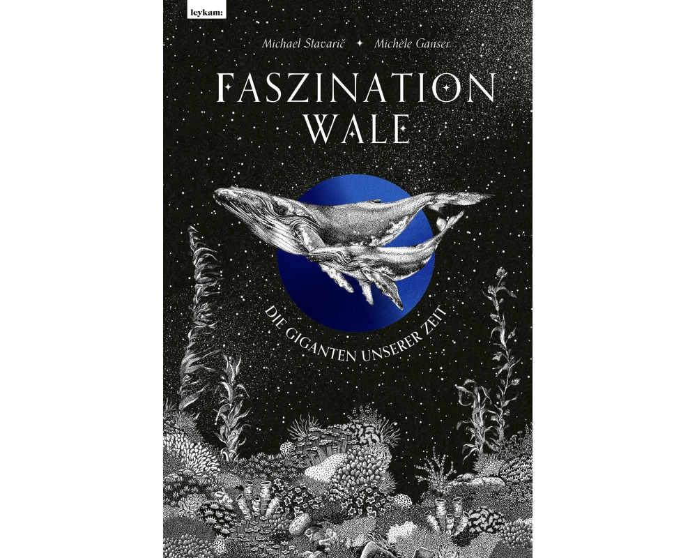 Faszination Wale - Die Giganten unserer Zeit