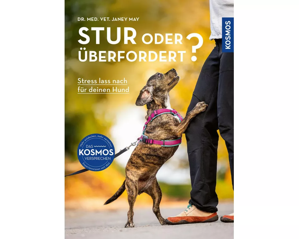 Stur oder überfordert?