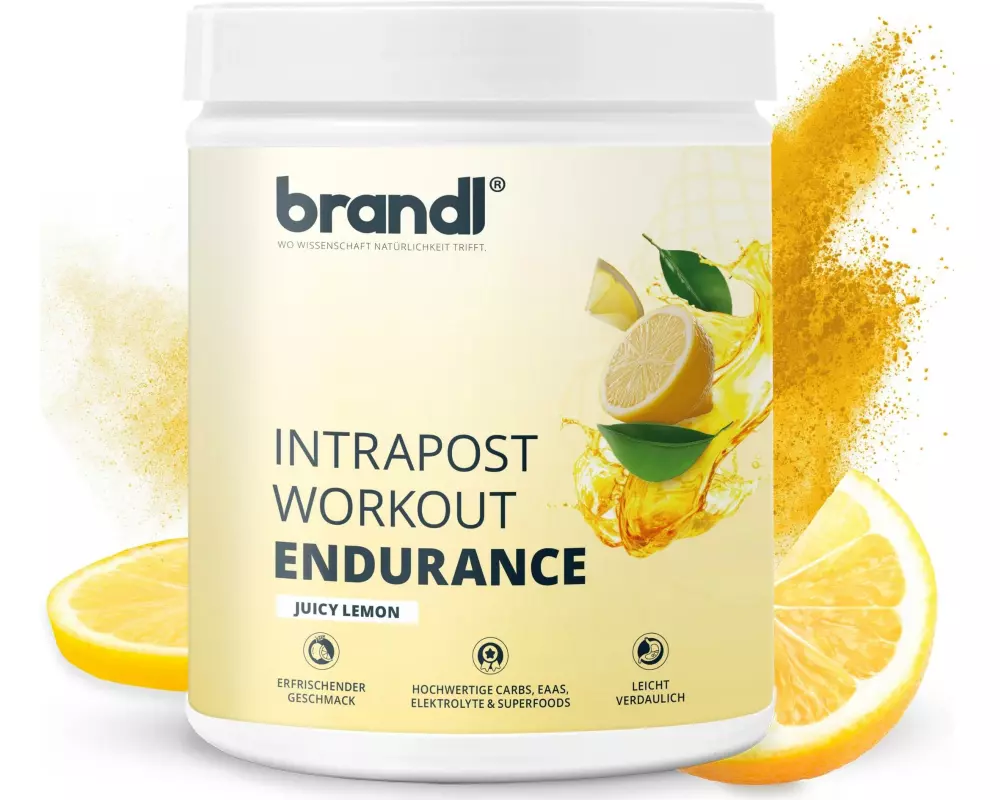 Brandl-Nutrition Ausdauer-Drink Isotonisches Getränk Zitrone, 600 g