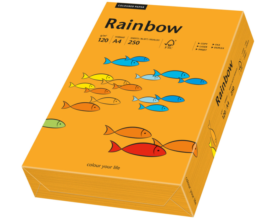 RAINBOW Papier orange/24 A4 88042436 FSC, 120g 250 Blatt