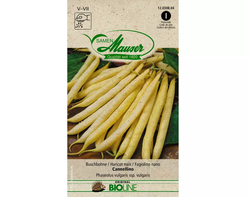 Samen Mauser Samen BIO Buschbohne Cannellino