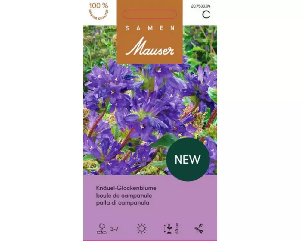 Samen Mauser Campanula glomerata