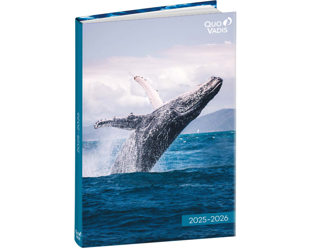 QUO-VADIS Eurotextagenda Walfisch 25/26 1282523Q 1T/1S 12M ML 12x17cm