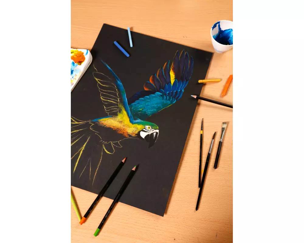 CLAIREFONTAINE Paint'On A3 975170C Schwarz, 250g 20 Blatt