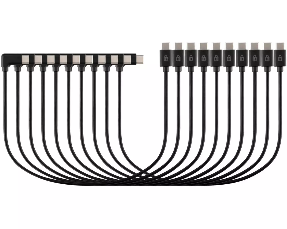 Kensington USB-Ladekabel K32302WW USB-C - USB-C 0.315 m