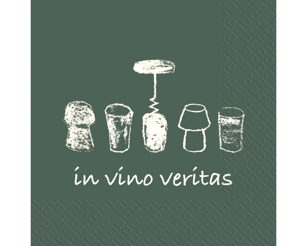 STEWO Serviette Homer 2572529047 dunkel 33x33cm