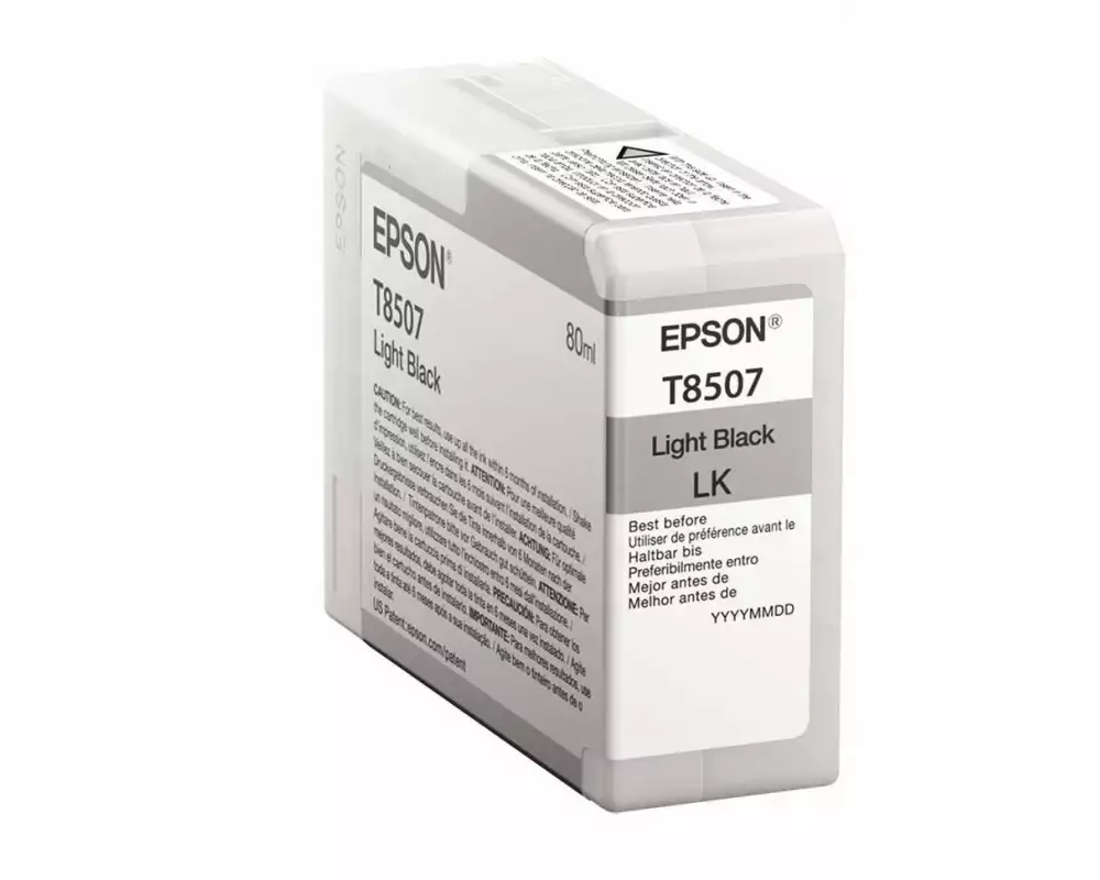 Epson Tinte C13T850700 Light Black