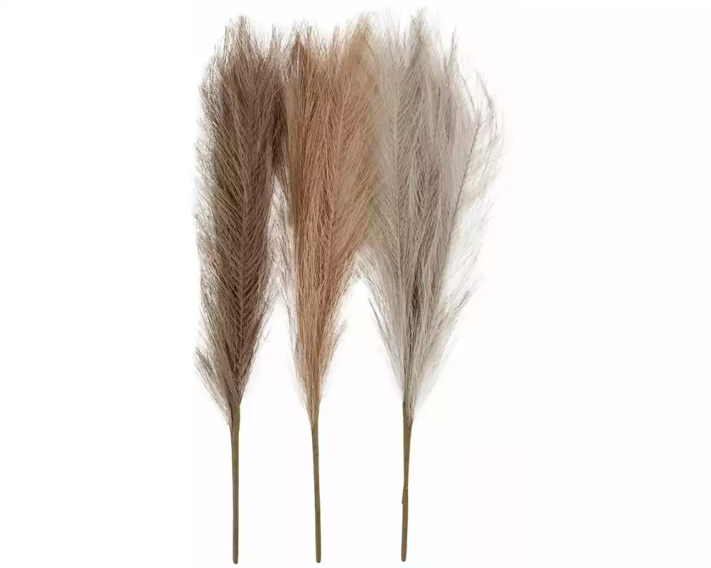 Creativ Company Trockenblumen Pampasgras 50 cm 3 Stück, Beige, Braun, Grau