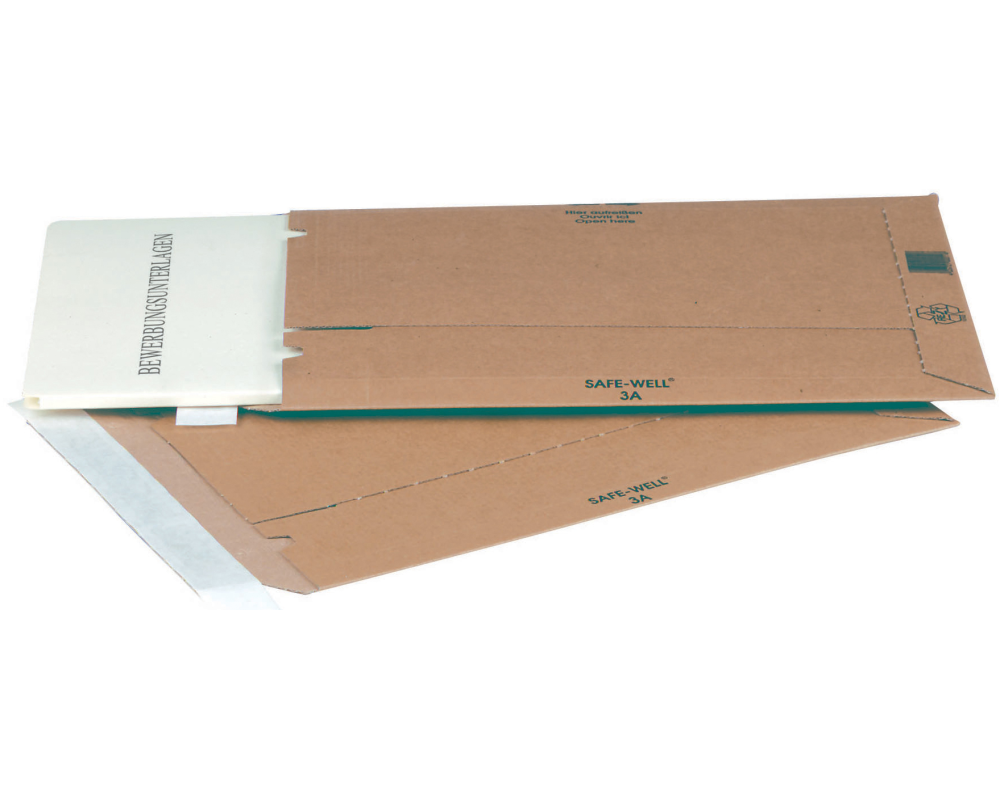 ELCO Versandtasche Safe 250x353mm 842633114 Karton 2 Stück