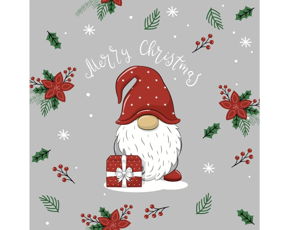 Paper + Design Weihnachtsservietten Tomte with gift 33 cm x 33 cm, 20 Stück