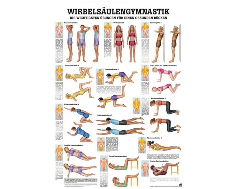 Rüdiger Anatomische Lehrtafel Wirbelsäulengymnastik Deutsch