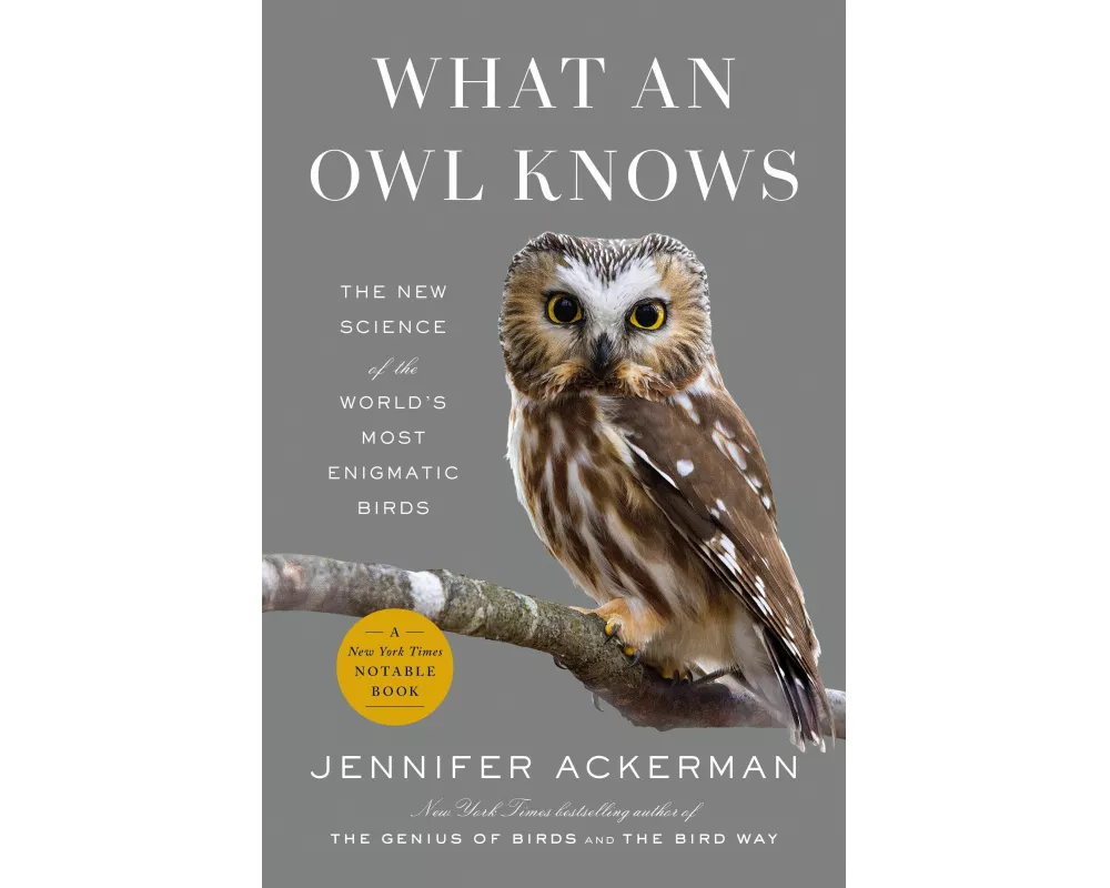 What an Owl Knows