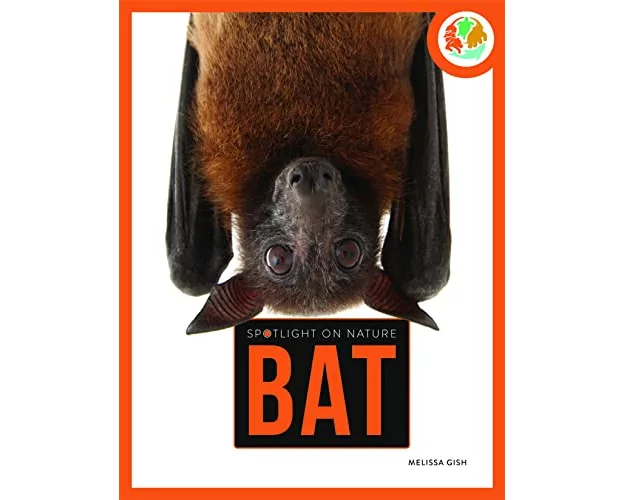 Spotlight on Nature: Bat