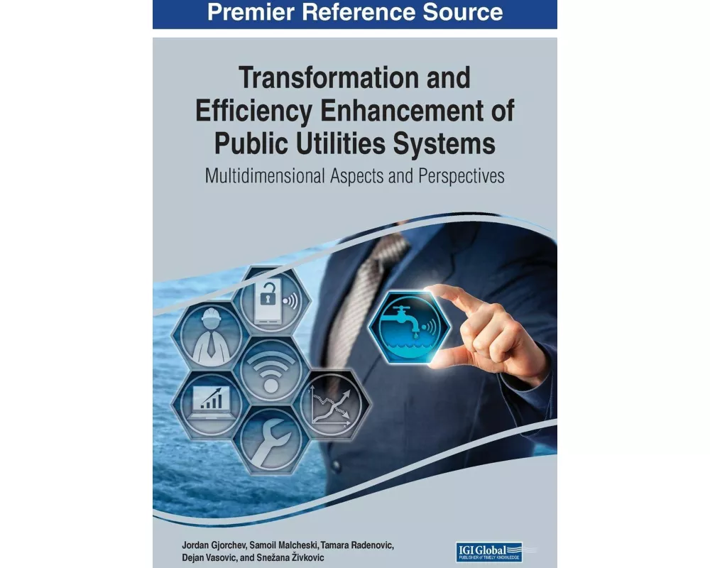 Transformation and Efficiency Enhancement of Public Utilities Systems