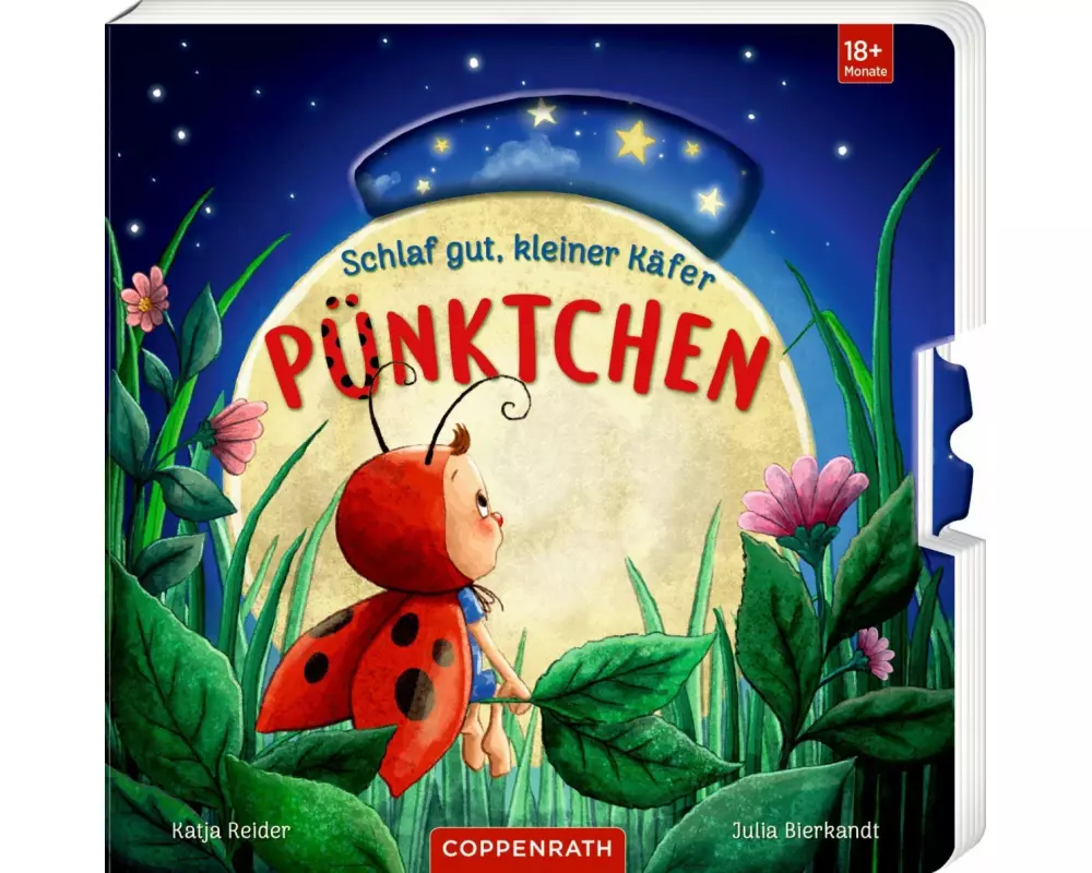 Schlaf gut, kleiner Käfer Pünktchen