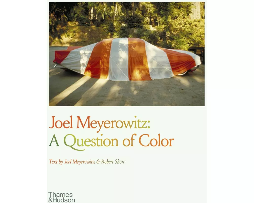 Joel Meyerowitz: A Question of Color