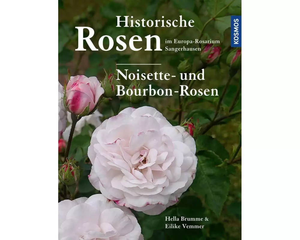 Historische Rosen im Europa Rosarium Sangerhausen: Noisette- und Bourbon-Rosen
