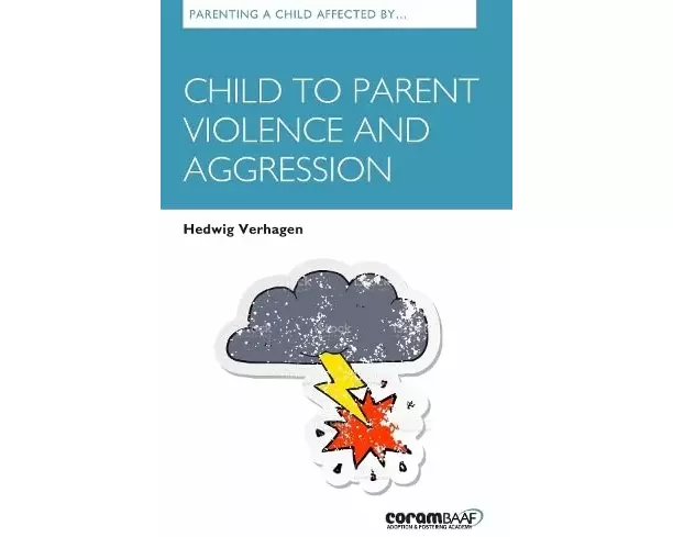 Parenting A Child Affected By Child To Parent Violence And Aggression