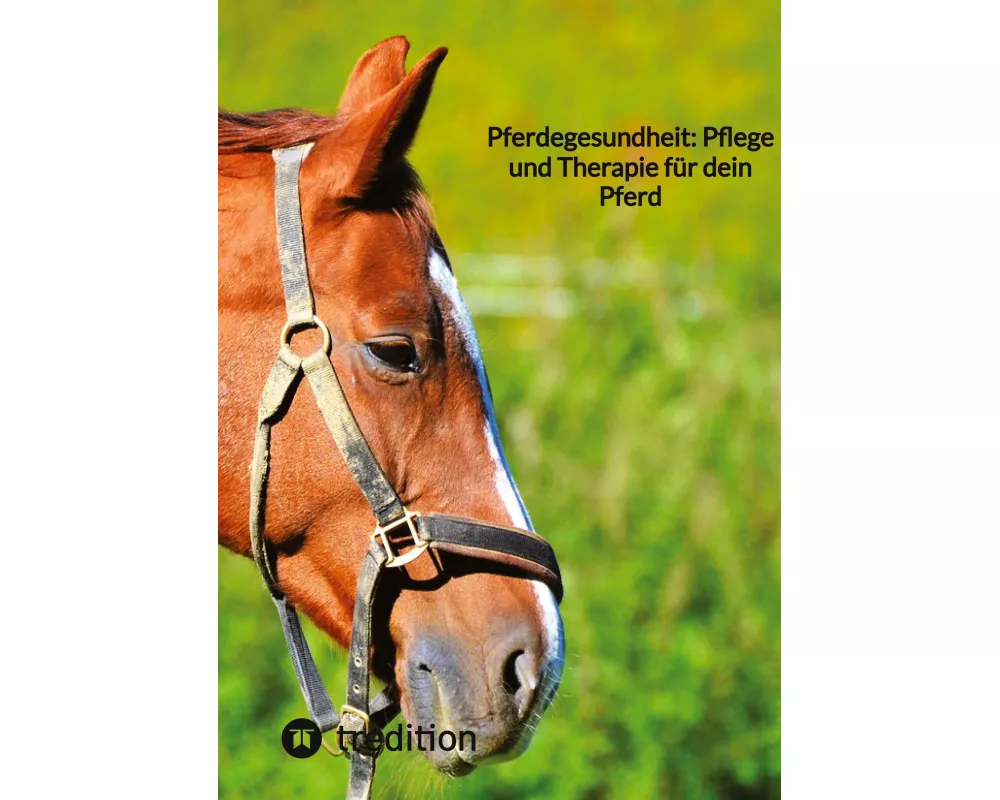 Pferdegesundheit: Pflege und Therapie für dein Pferd