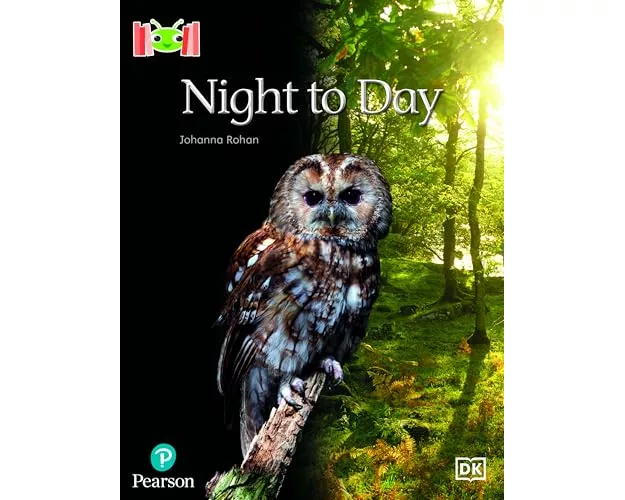 Bug Club Reading Corner: Age 4-5: Night to Day