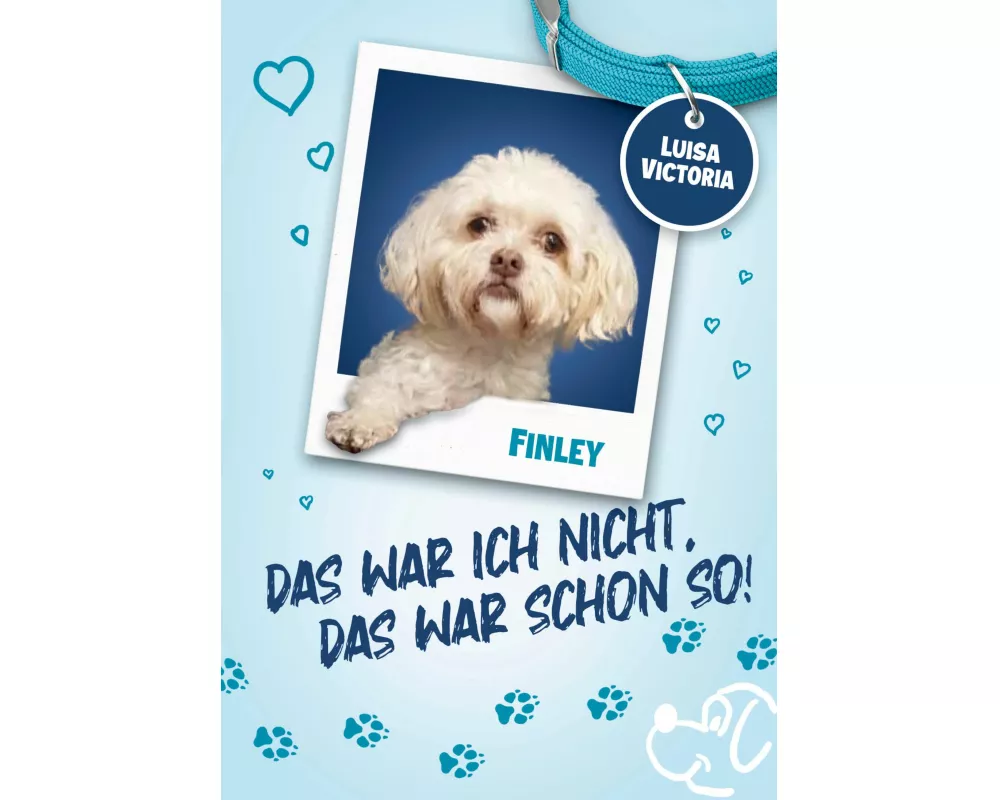 "Das war ich nicht. Das war schon so!" - Ein faszinierendes Buch für Mädchen und Jungen mit vielen Bildern