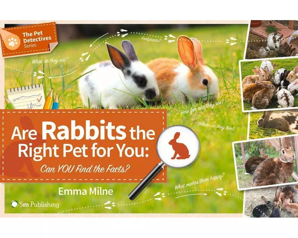 Are Rabbits the Right Pet for You