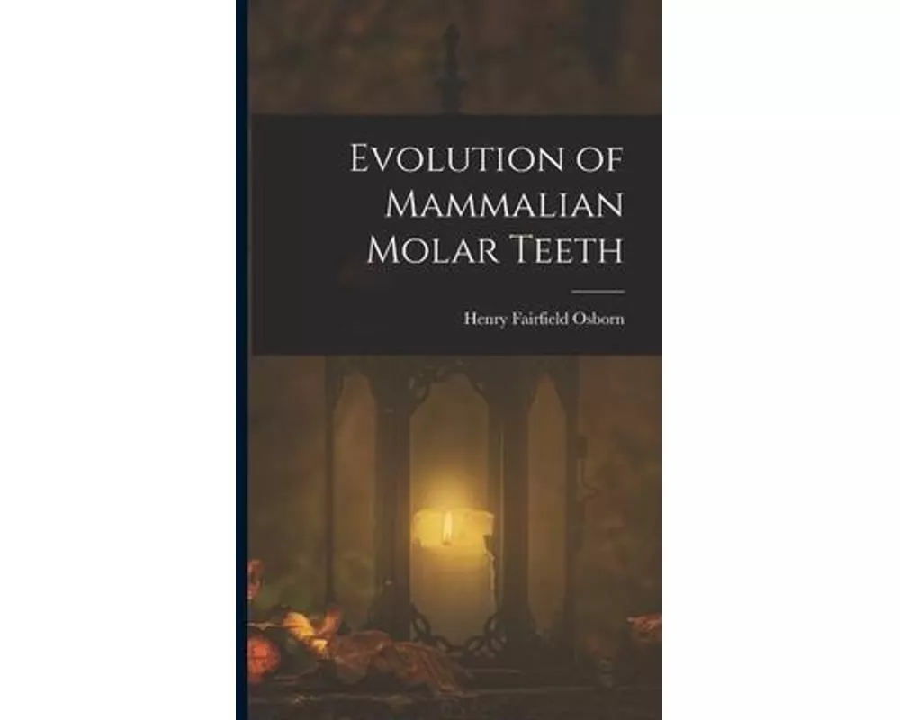Evolution of Mammalian Molar Teeth