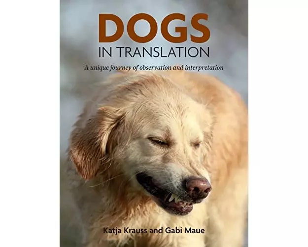 Dogs In Translation