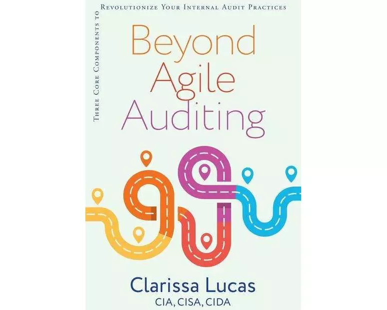 Beyond Agile Auditing