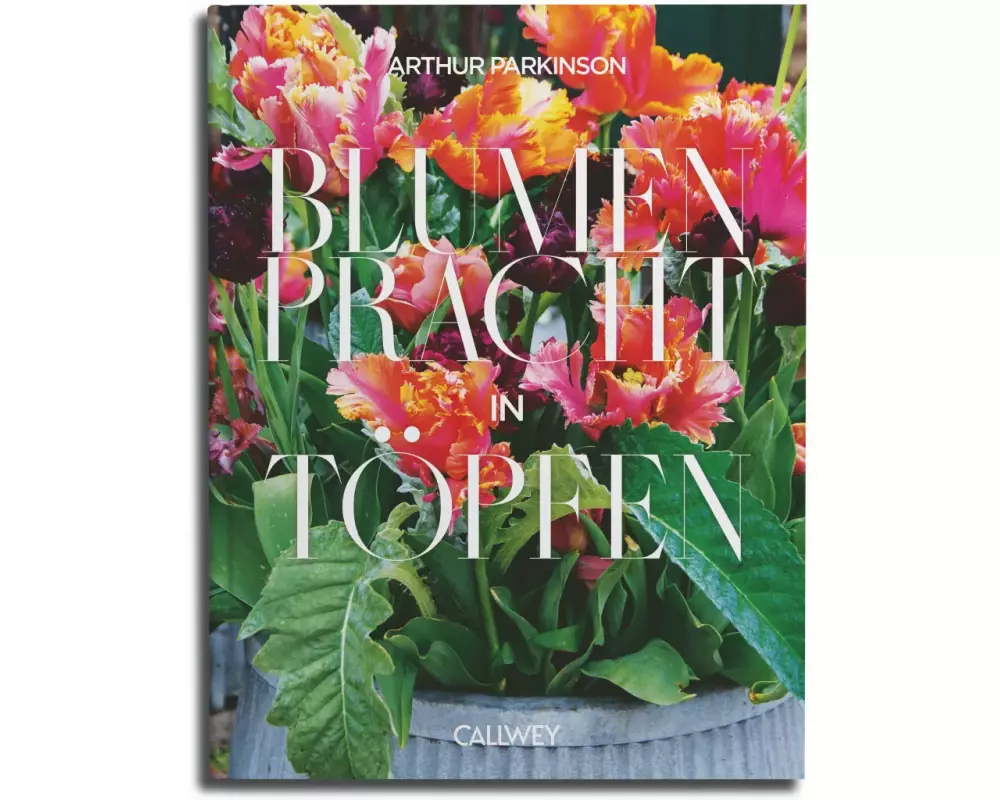 Blumenpracht in Töpfen