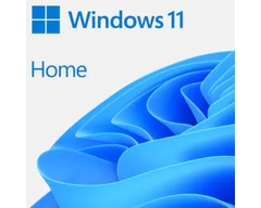 WINDOWS 11 HOME 64-BIT FPP USB