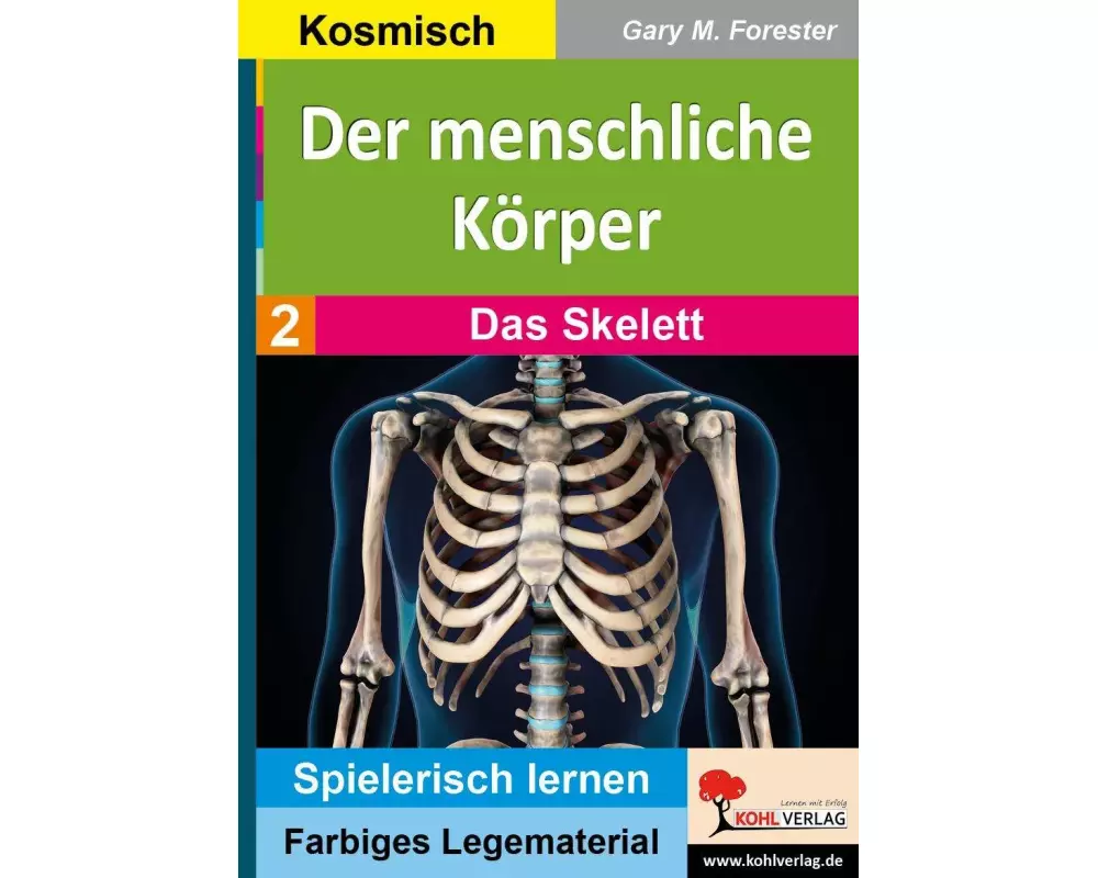 Der menschliche Körper / Das Skelett