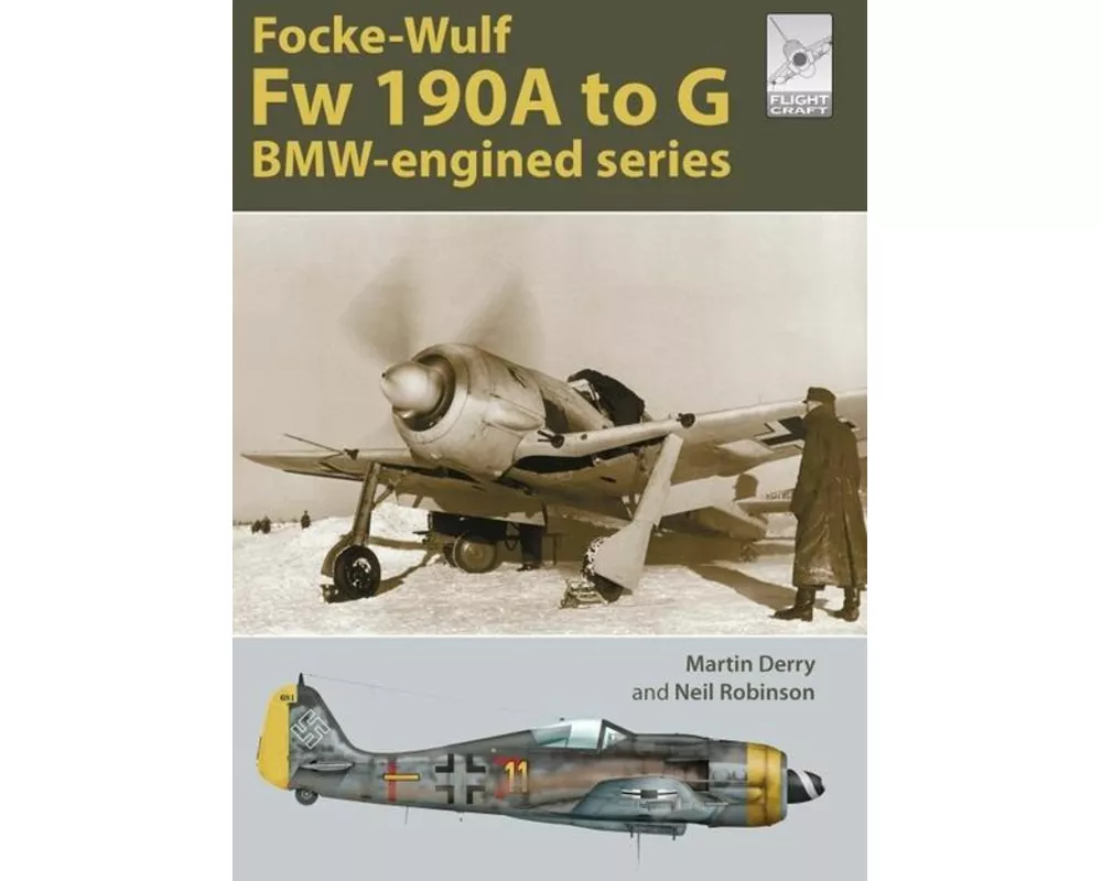 Flight Craft Special 2: The Focke-Wulf Fw 190