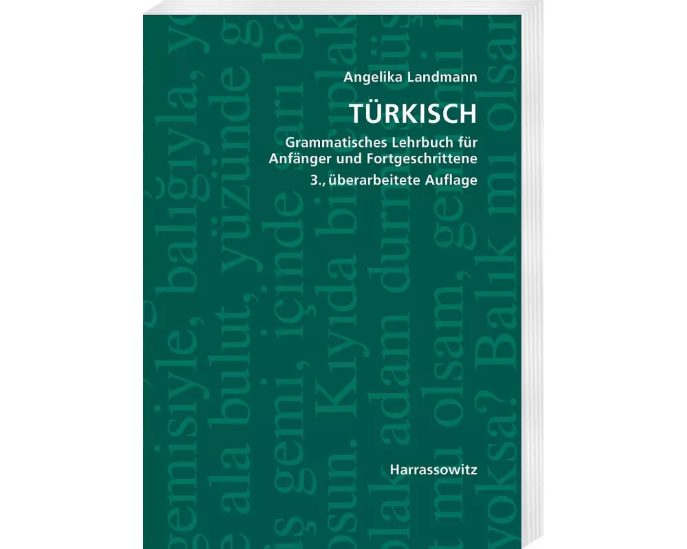 Türkisch Grammatisches Lehrbuch für Anfänger und Fortgeschrittene