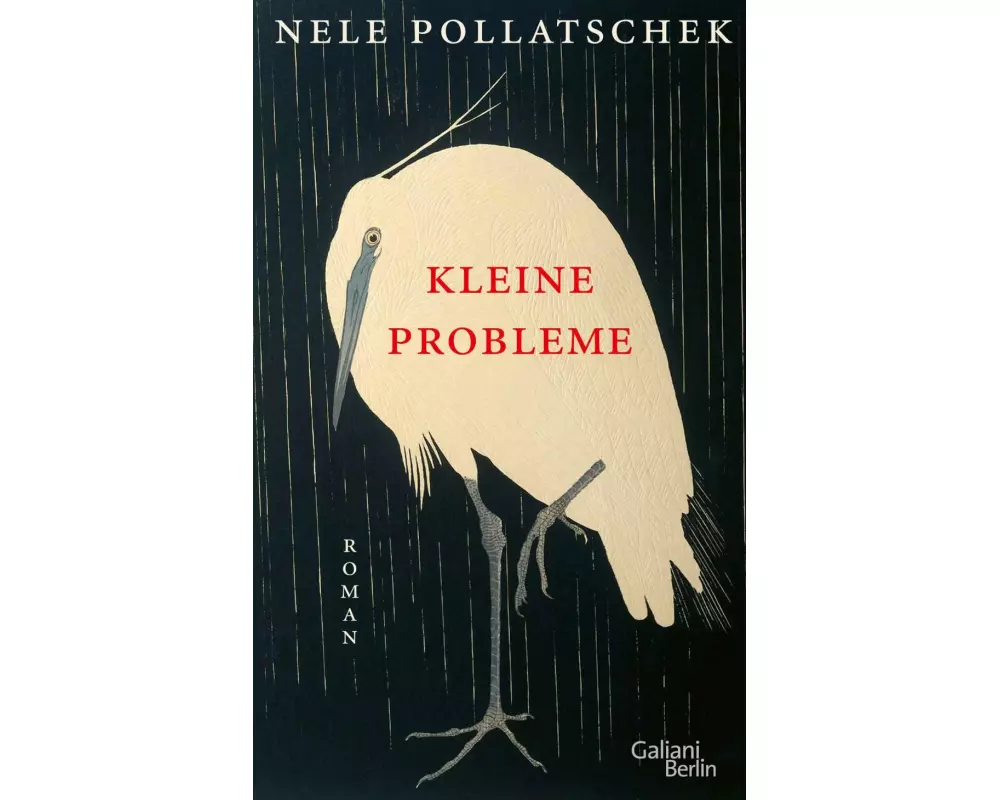 Kleine Probleme
