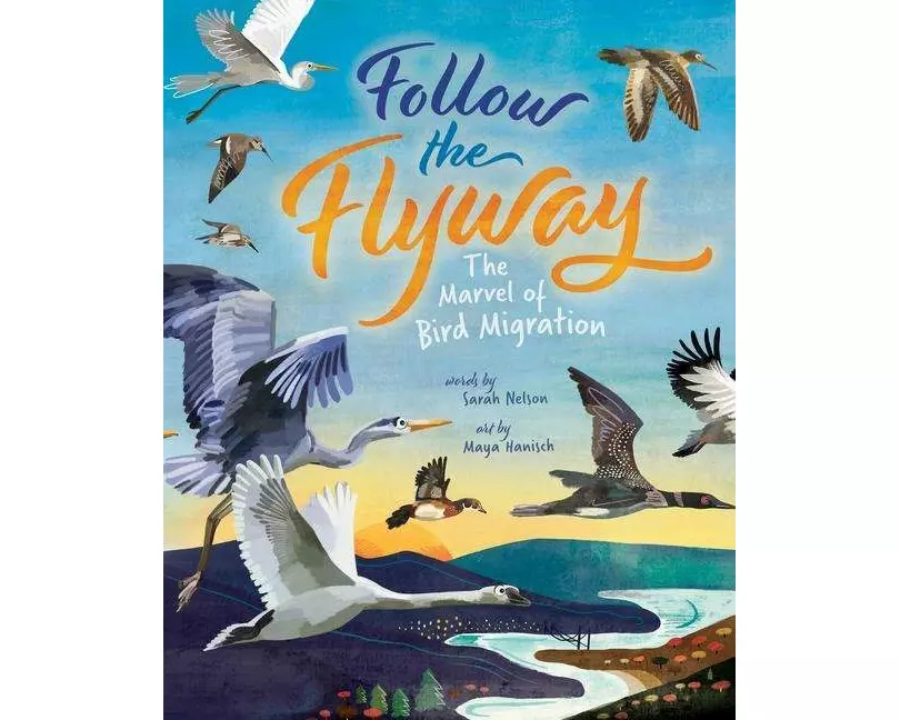 Follow the Flyway