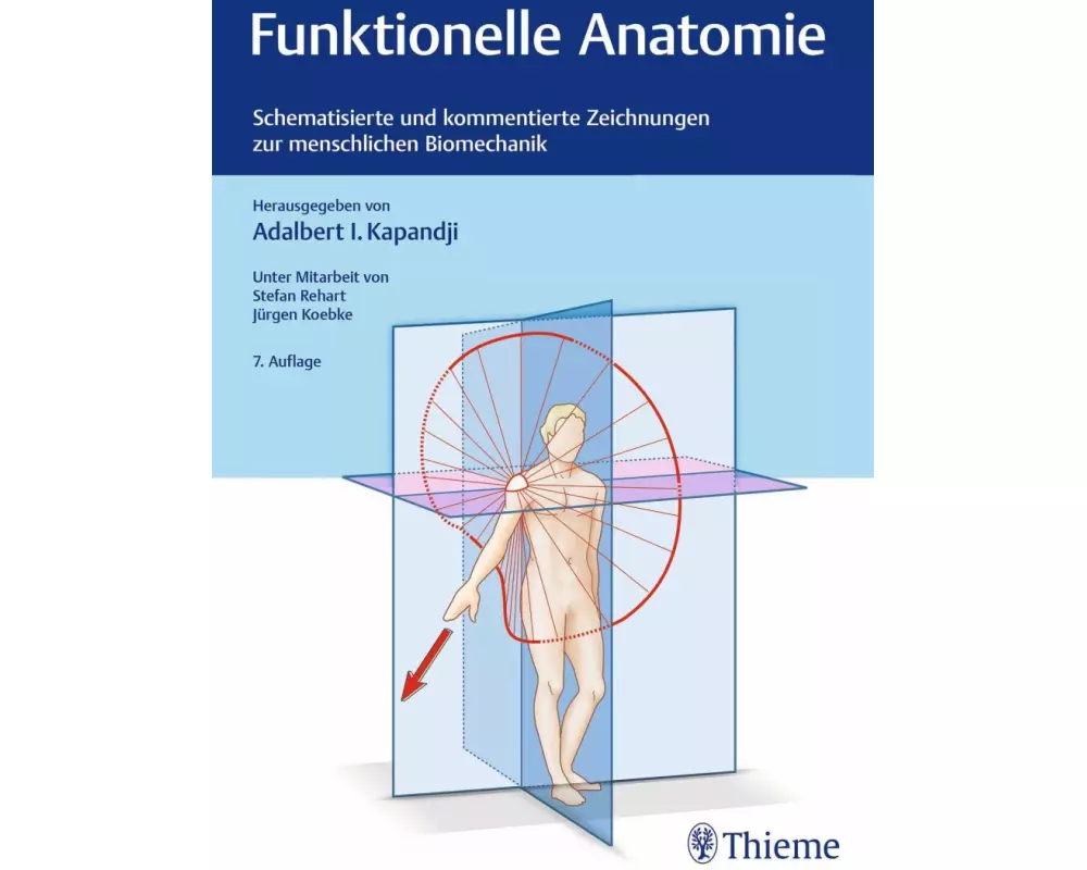 Funktionelle Anatomie