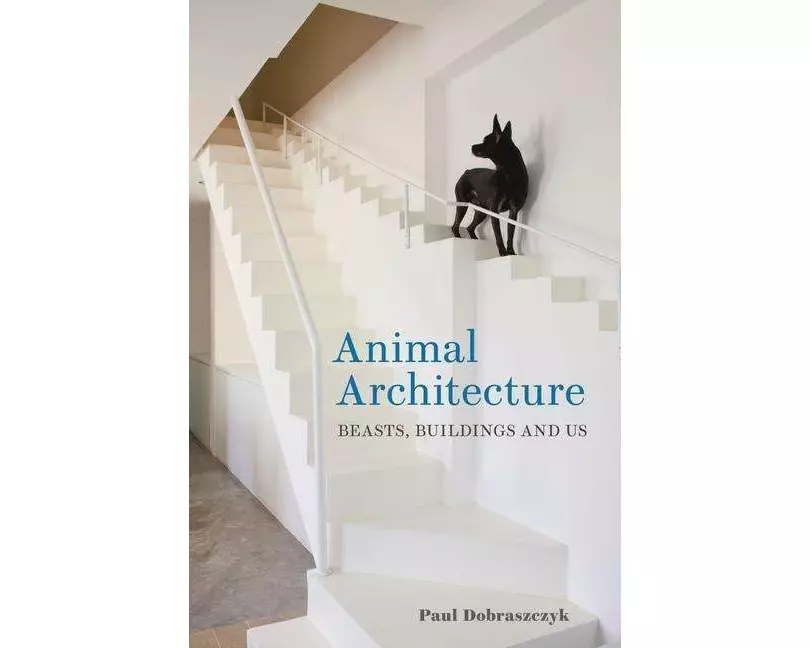 Animal Architecture