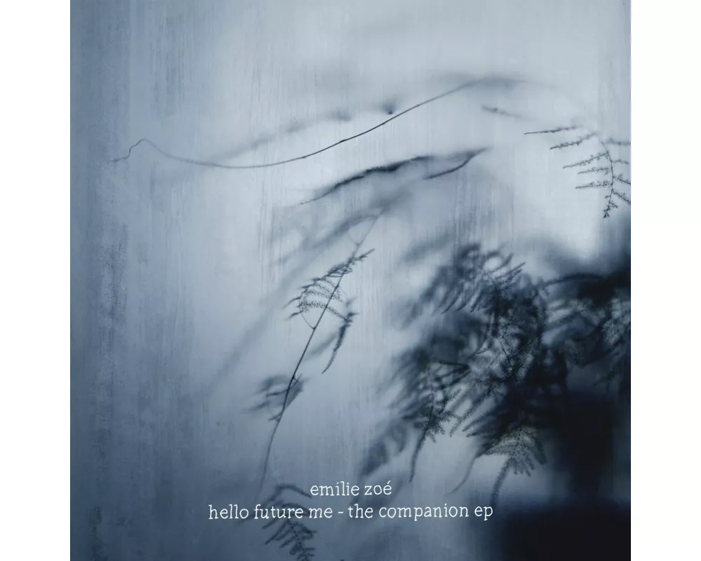 Hello Future Me - The Companion