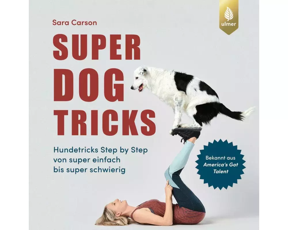 Super Dog Tricks