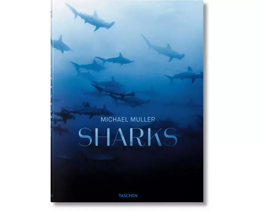 Michael Muller. Sharks